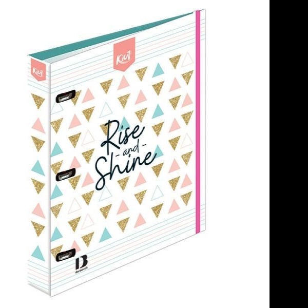 CARPETA PROF. CTA. KIUT NORMA 533380 RAYA 100 HOJAS PZA